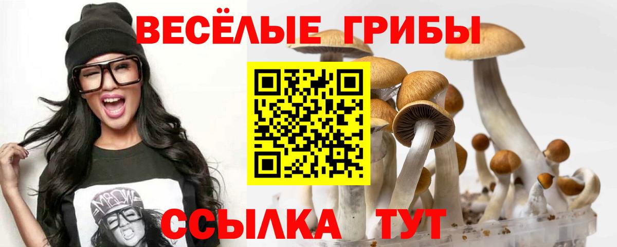 Майкоп  где купить   Вход с VPN  Галлюциногенные грибы Magic Shrooms  Псилоцибиновые грибы ЛСД 